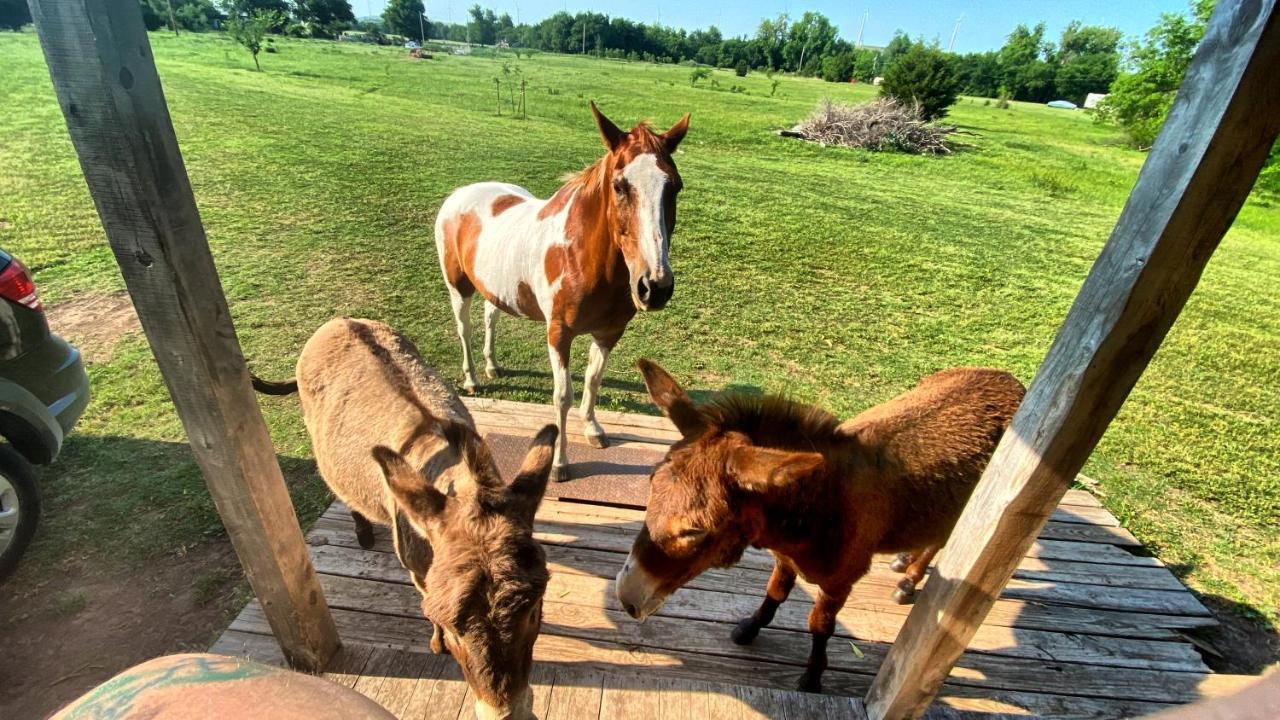 Tiny Cabin At The Donkeyranch Medicine Park ภายนอก รูปภาพ