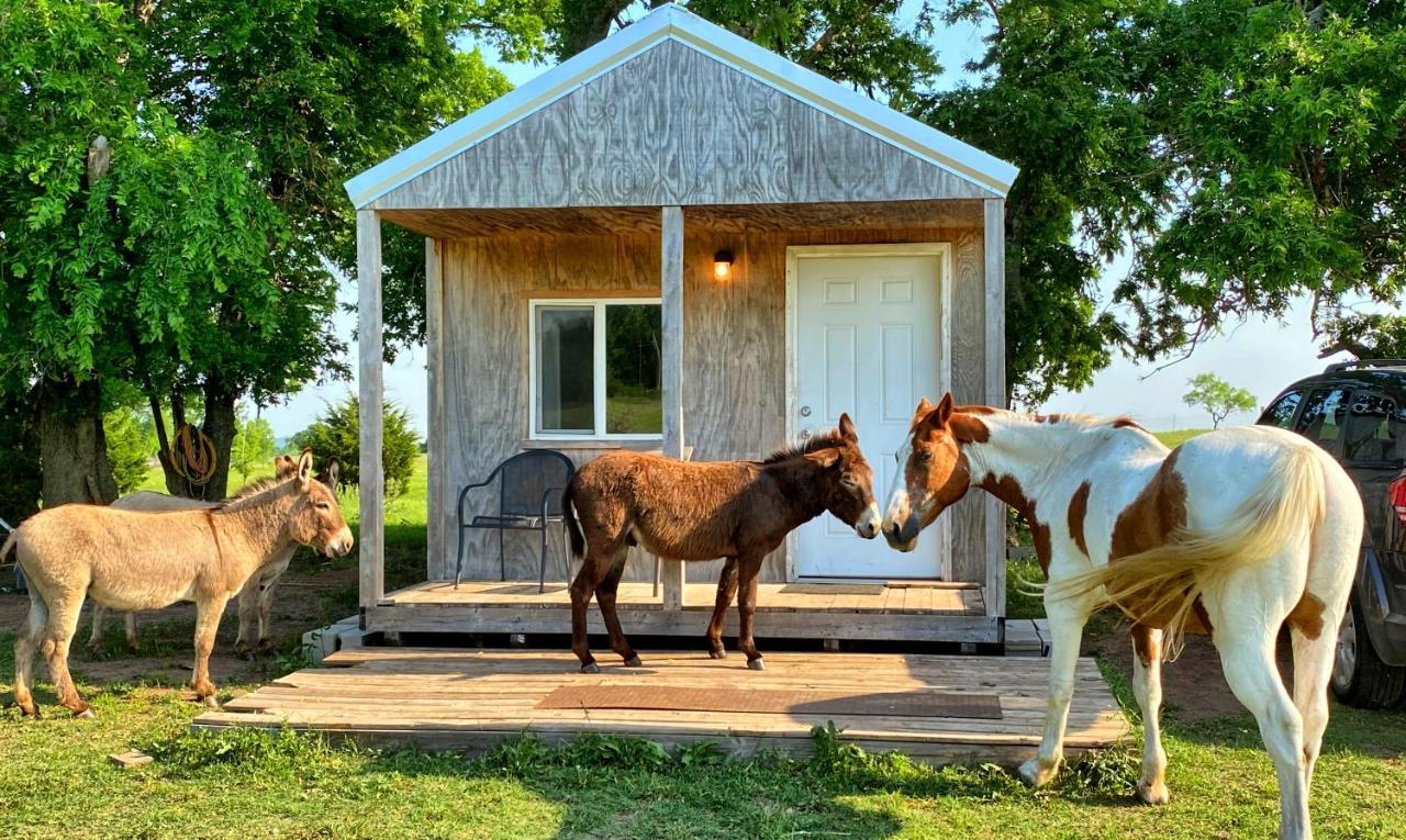 Tiny Cabin At The Donkeyranch Medicine Park ภายนอก รูปภาพ